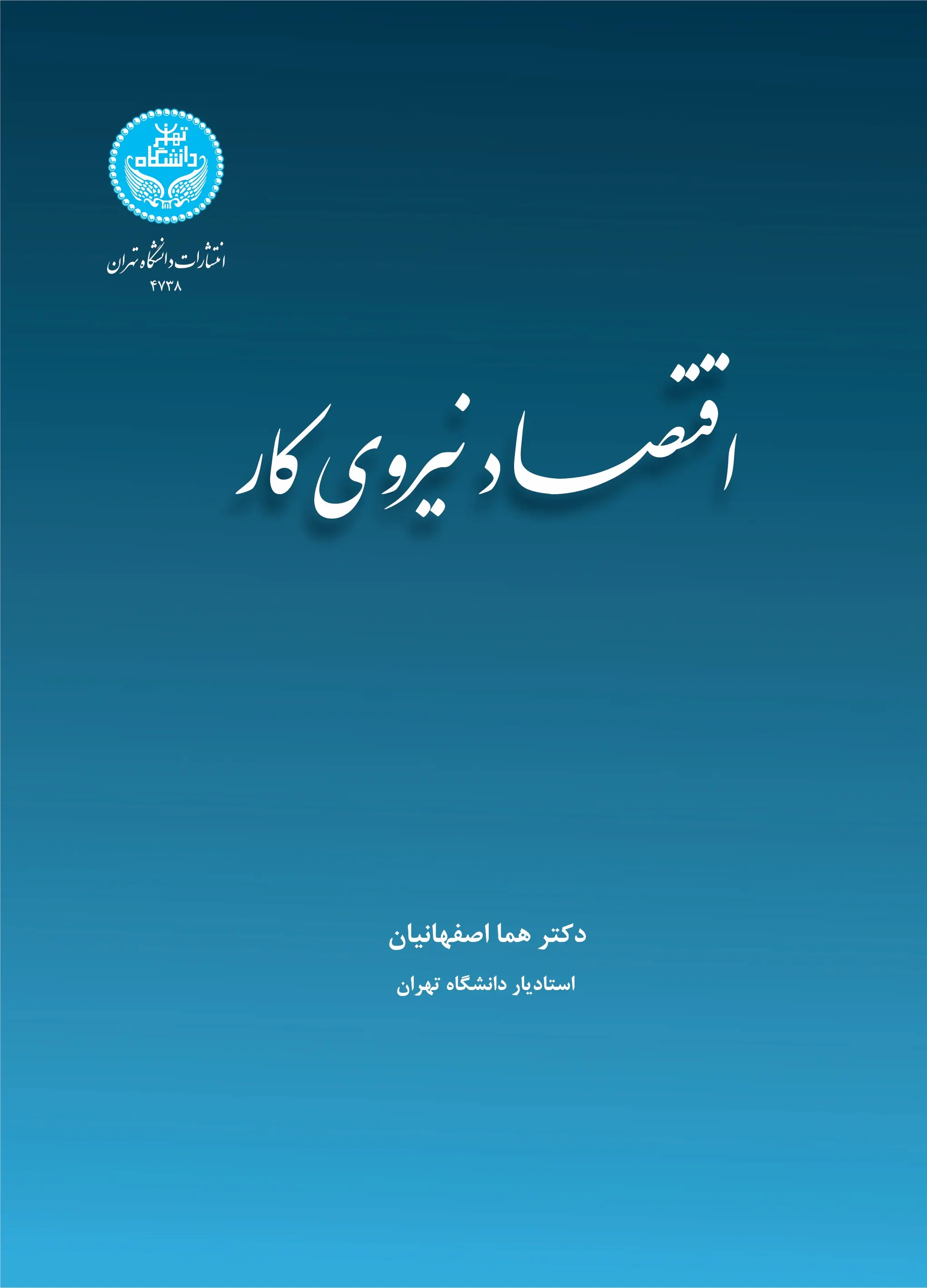 اقتصاد نیروی کار